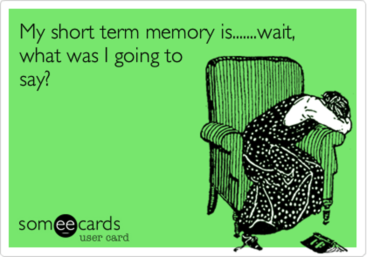 <p>the part of memory that retains a few items for only several seconds</p>