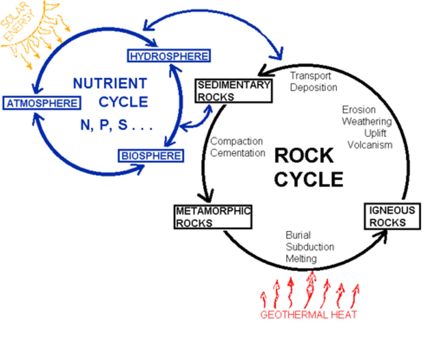 <p>the movements of matter within and between ecosystems</p>