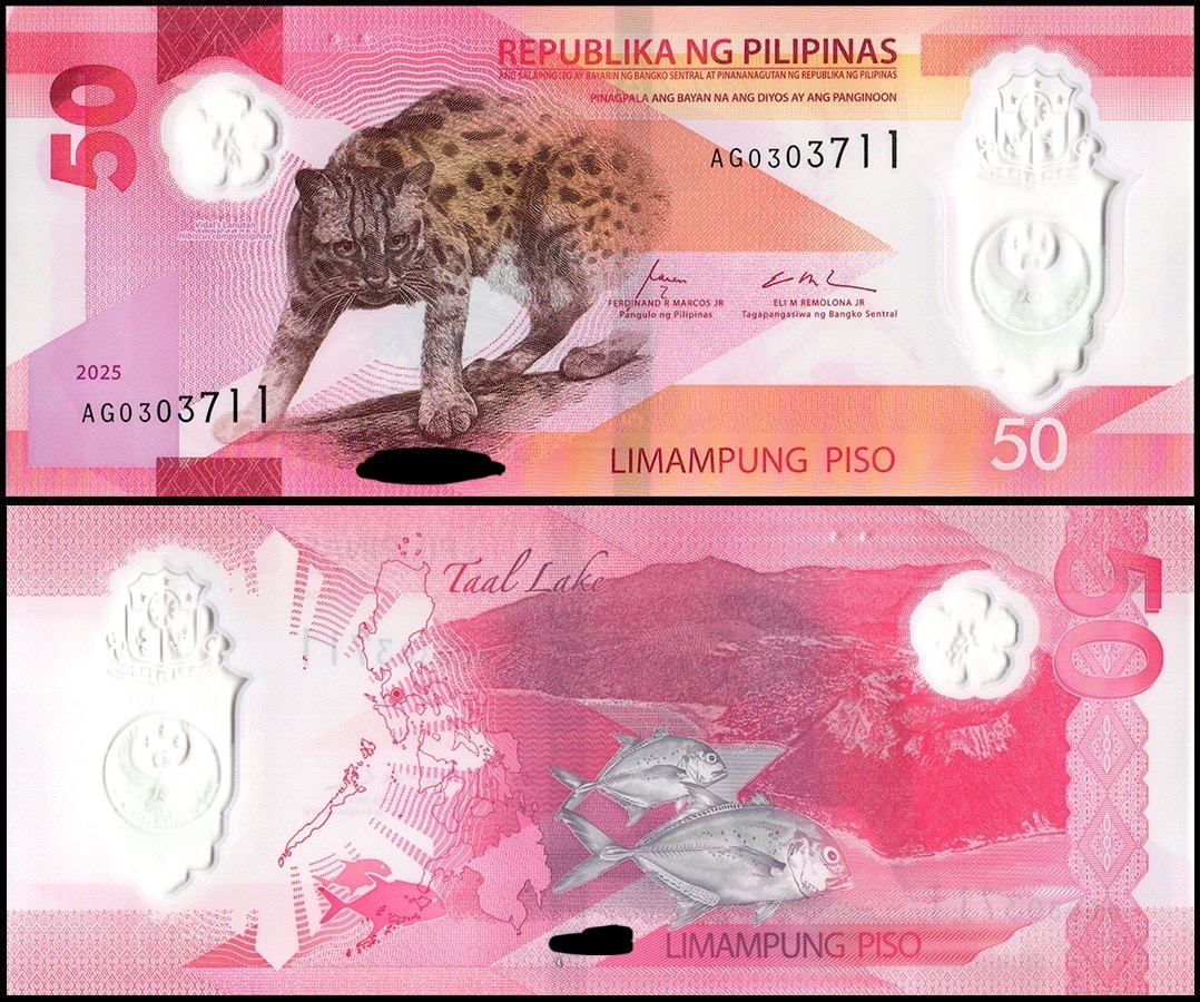 <p>What is the animal/s found in the ₱50 polymer bank note?</p><p>A. Pithecophaga jefferyi & Pinctada maxima</p><p>B. Rusa alfredi & Tanygnathus lucionensis</p><p>C. Polyplectron napoleonis & Rhincodon typus</p><p>D. Prionailurus bengalensis rabori & Caranx ignobilis</p>