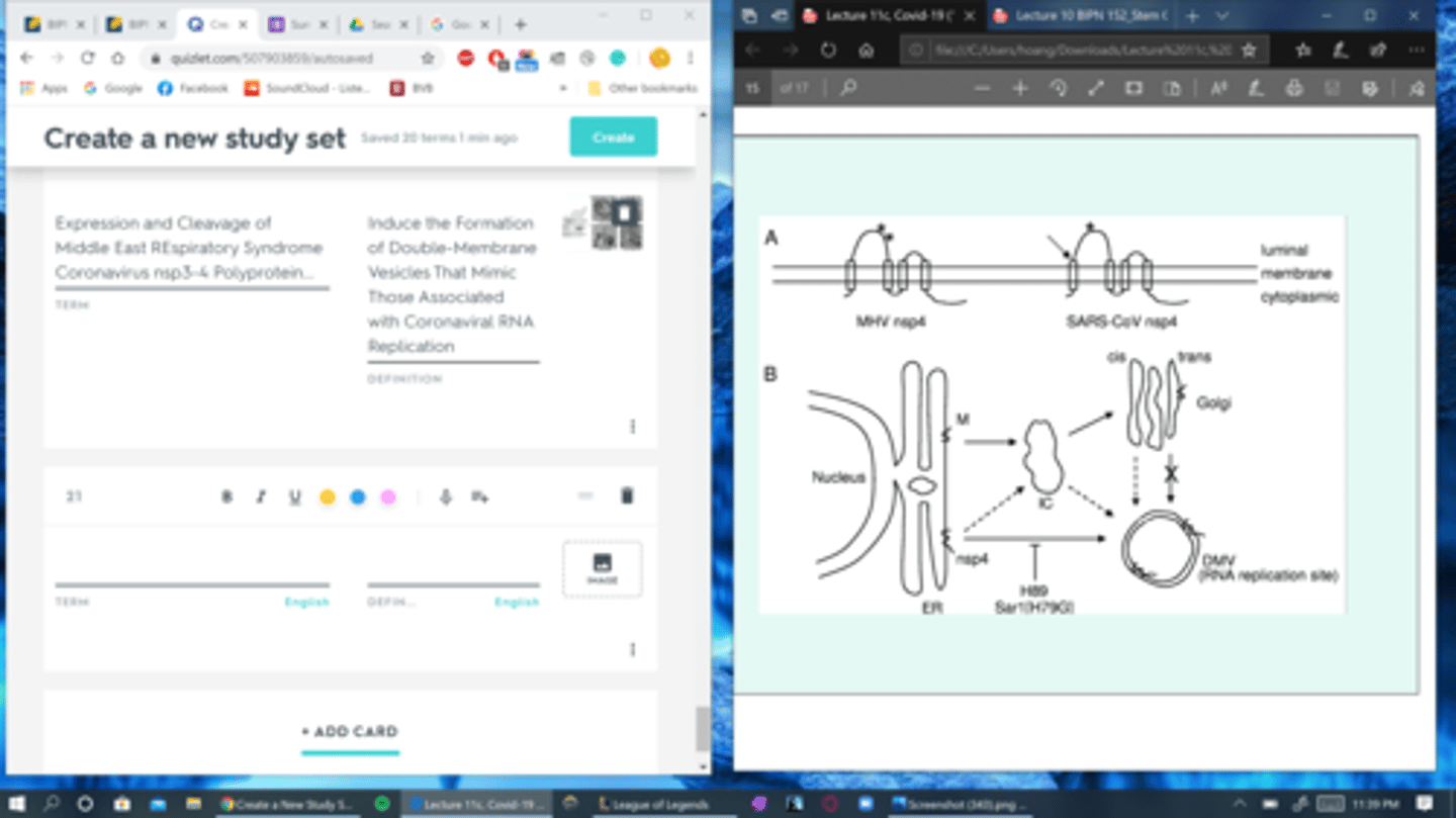 knowt flashcard image