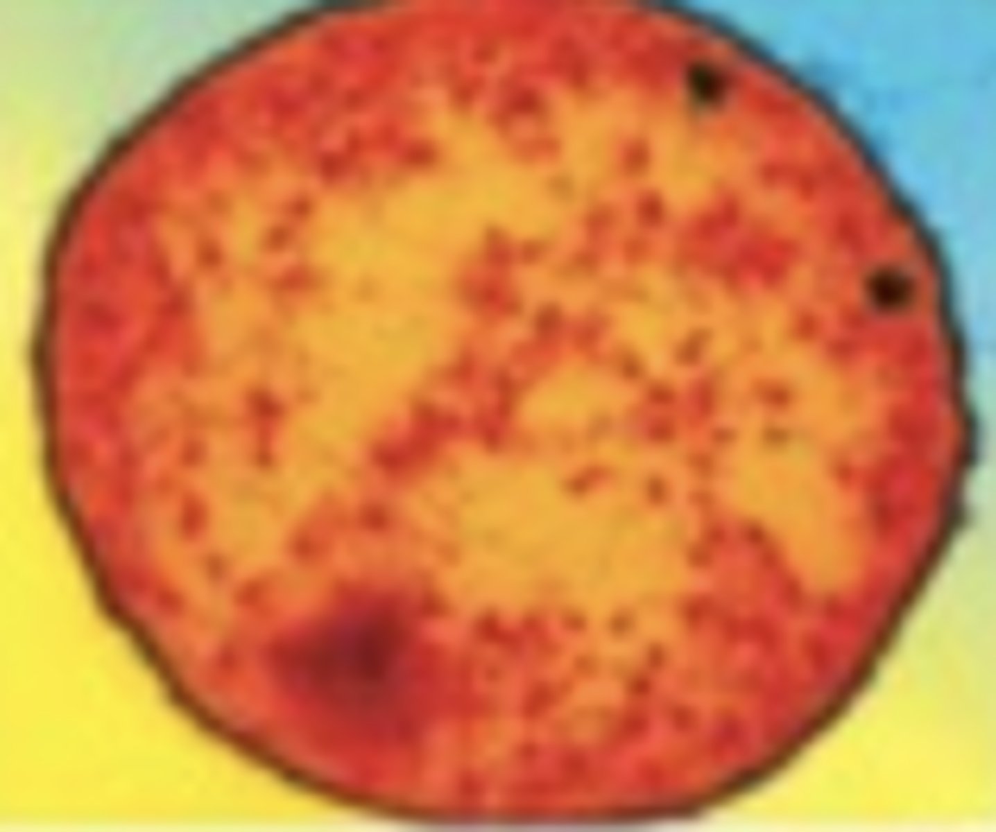 <p>A. Domain, Clade name</p><p>B. Gram +/-</p><p>C. Mono/diderm</p><p>D. One characteristic</p>