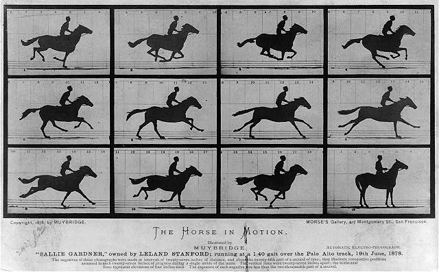 <p>Early Photography</p>