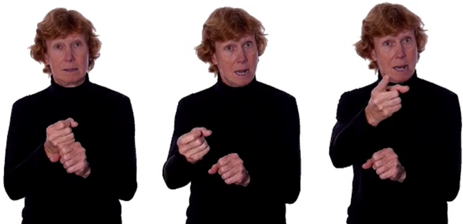 <p>repeated twice</p>