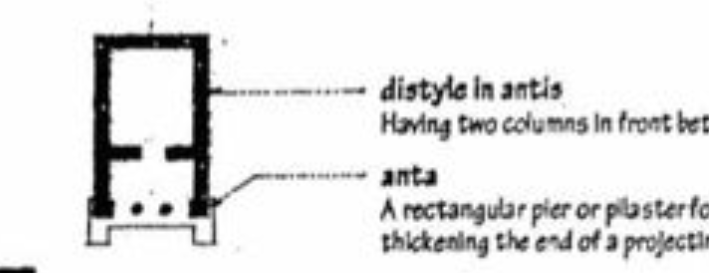 <p>Having two columns in front between antae </p>