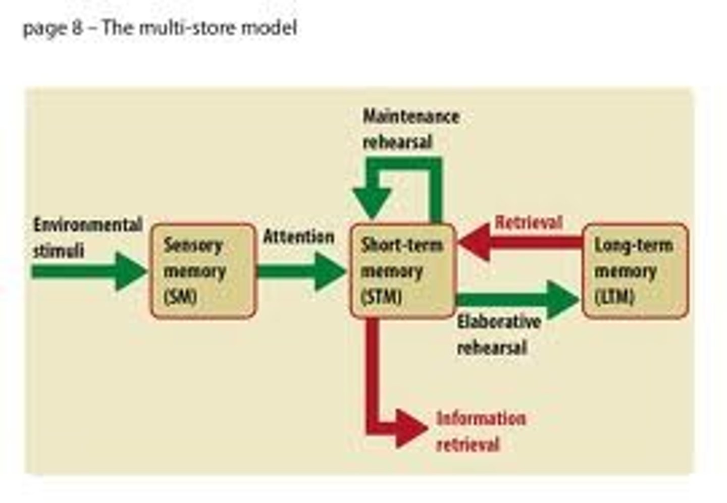 <p>An explanation of memory based on three separate memory stores, and how information is transferred between these stores.</p>