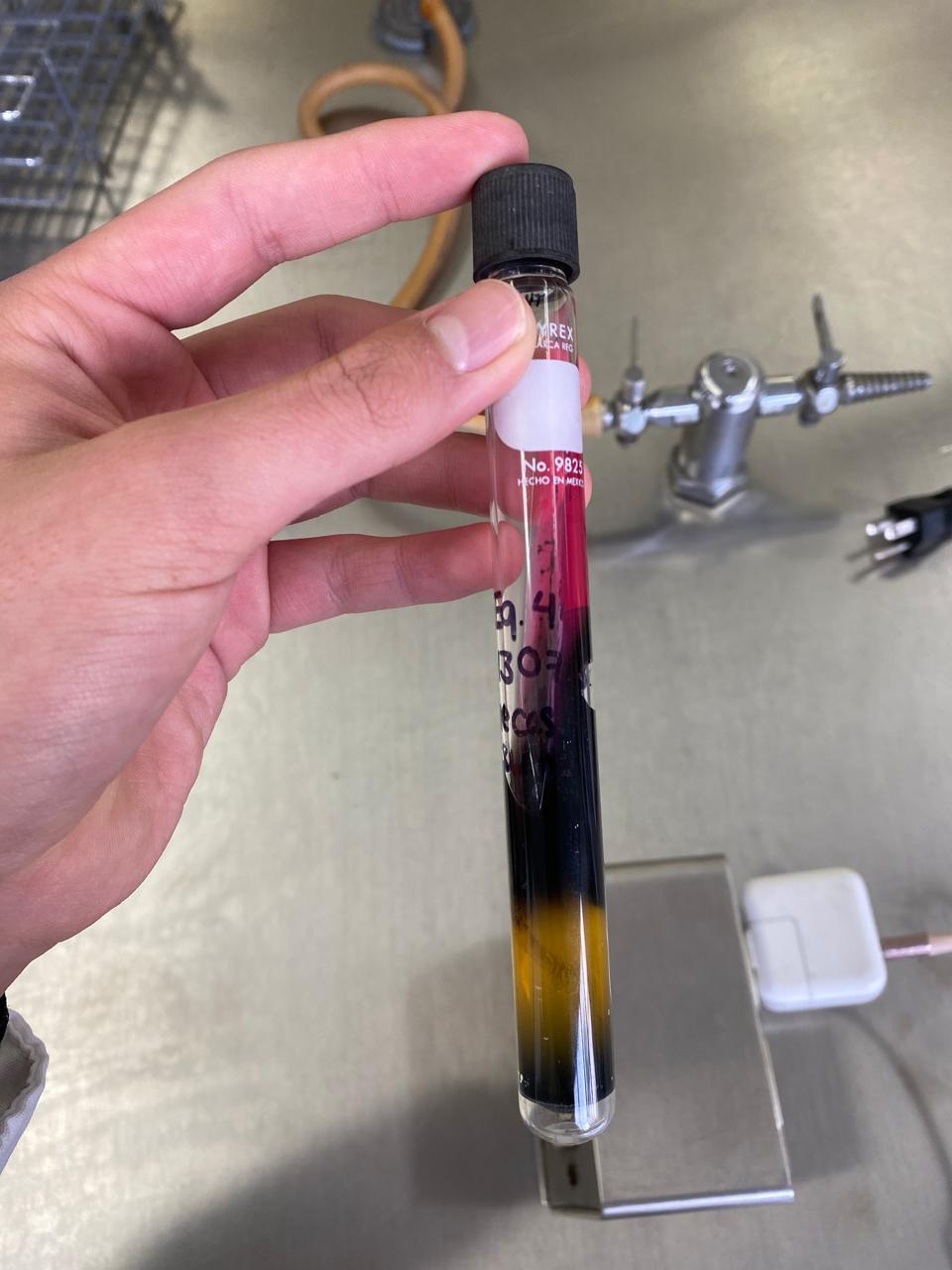 <p>De qué prueba se trata, de qué número de reacción es; al ser una muestra de heces, de qué género bacteriano podría tratarse</p>