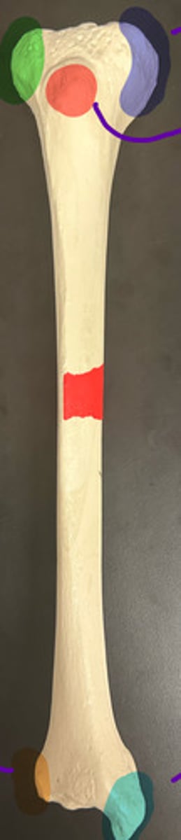 <p>red highlight</p>