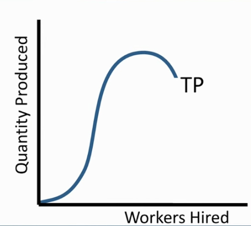 <p>amount of output as there are more inputs [workers hired]</p>