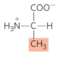 <p>What is this?</p>