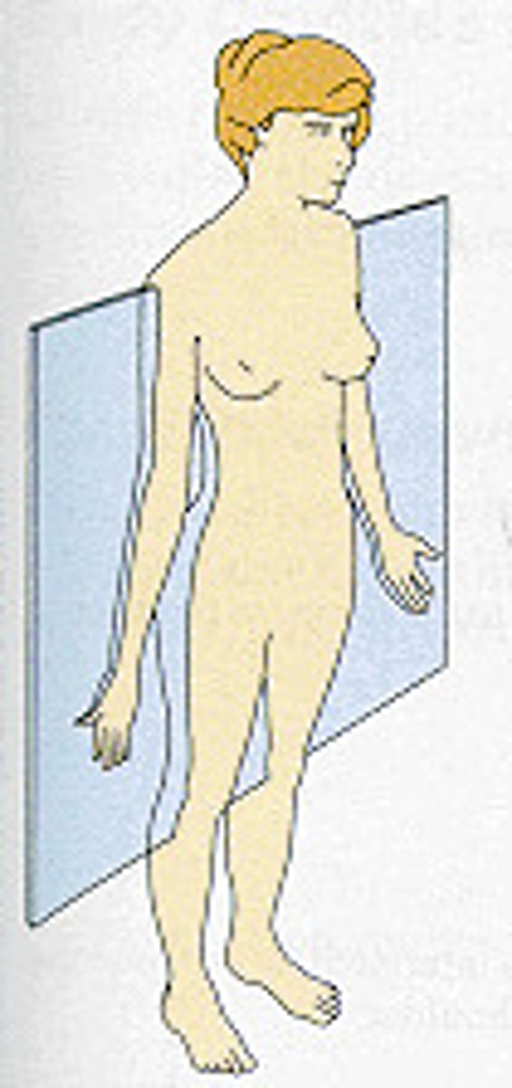 <p>Divides the body, or any body structure, vertically into front and(anterior and posterior) sections. Runs vertically through the body at right angle to the midline.</p>