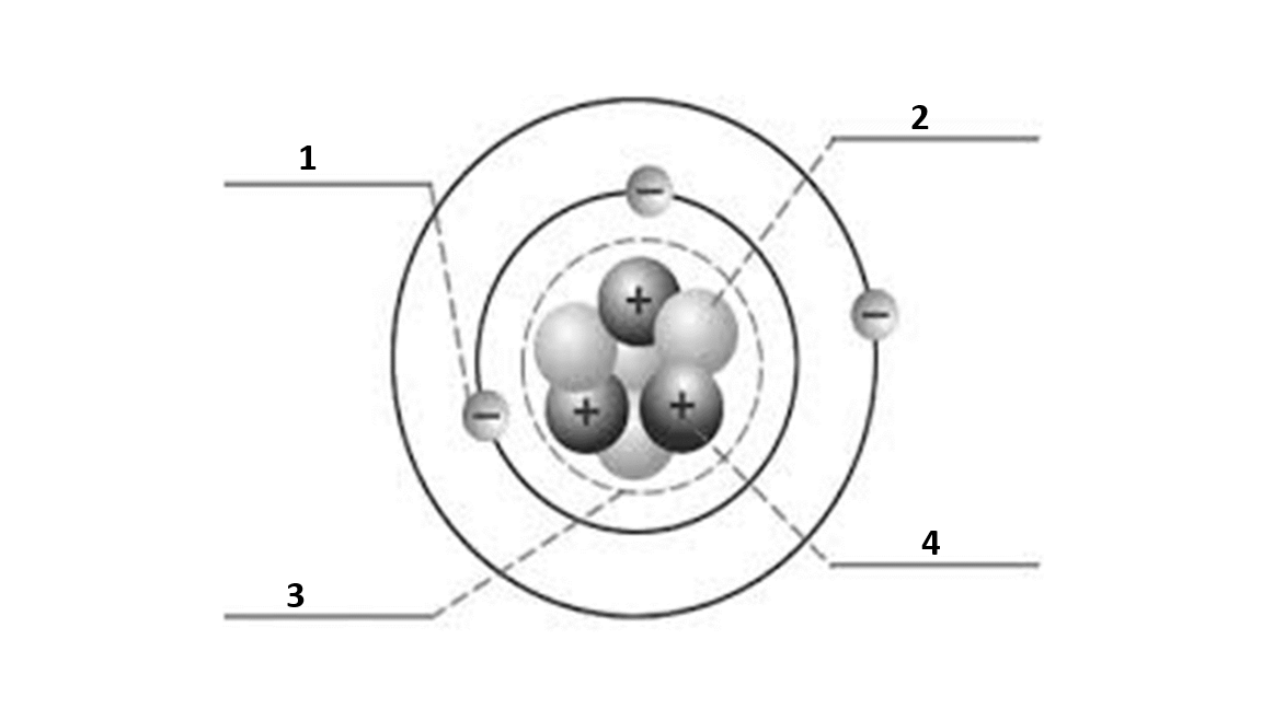 <p><span>Match the number to the correct part of the atom:</span></p><p><span>Number 3 is</span></p>