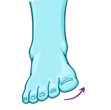 the sole towards/ ke arah median plane