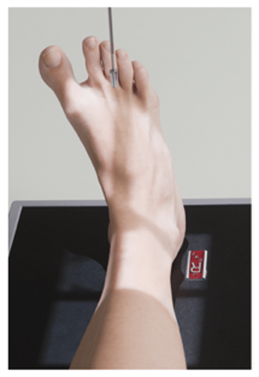 <p>What projection is this?</p>