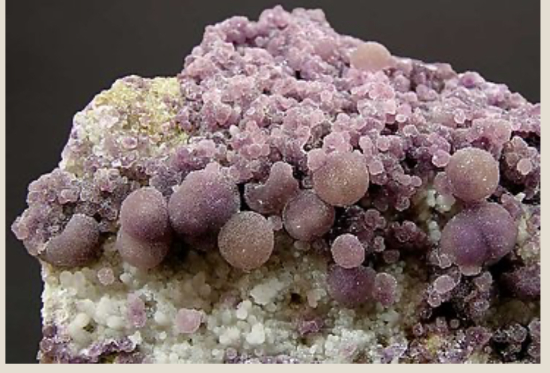 <p>small spherical or hemispherical groups</p>