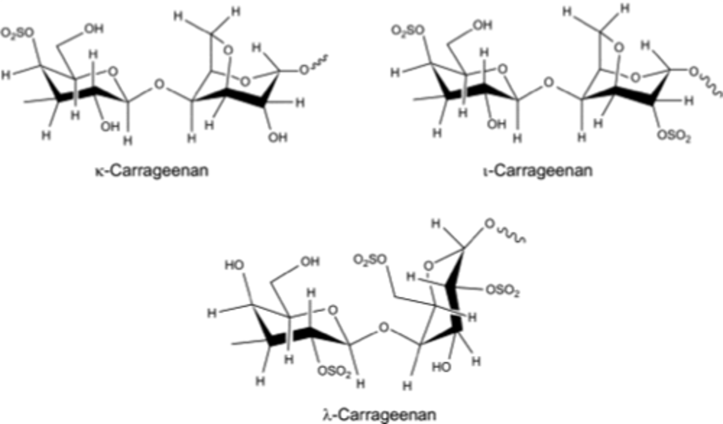<p>linear sulfated polysaccharides; those of commercial interest are kappa, iota, and lambda</p><p>products include instant mix food products, chocolate milk, toothpaste, cottage cheese, ice cream, other dairy products, and fat free products</p>