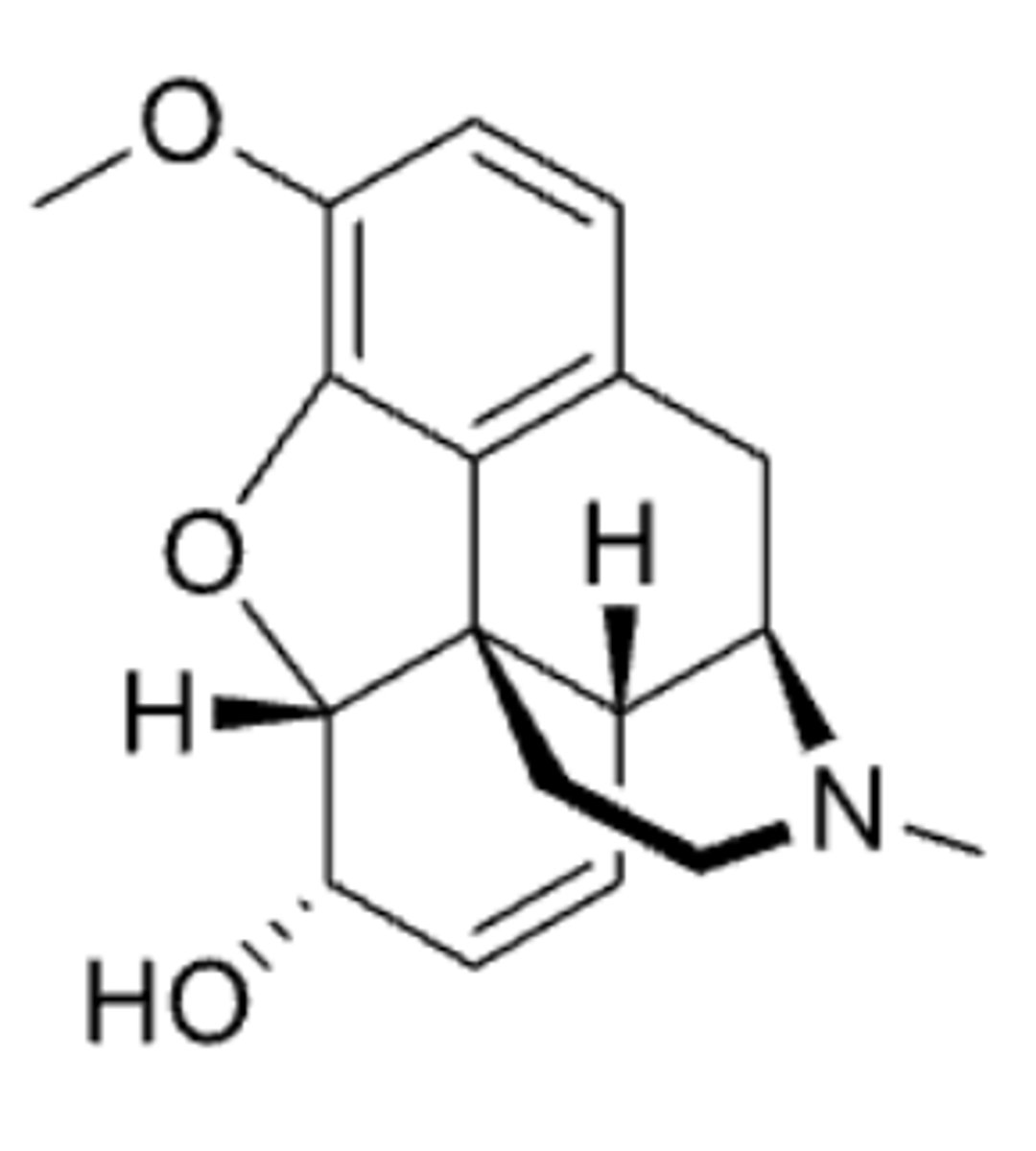 <p>- morphine opioid analgesic that is less potent than morphine and is used in pain and cough </p><p>- prodrug of morphine</p><p>- binding affinity is only 0.1% that of morphine and resulting analgesic effect is 20% that of morphine</p><p>- metabolized by CYP2D6 in the liver into morphine to produce analgesia (O-demethylation and UGTs)</p><p>- CYP2D6 is highly polymorphic and considerable variation exists in the efficiency and amount of CYP2D6 enzyme produced between individuals </p><p>- individual patient's response to codeine varies from no effect to high sensitivity </p>