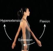 <p>Decrease in angle</p>