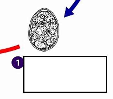 <p>(1) Eggs are passed <strong><em><em></em></strong><strong></em></strong> of defenitive host</p>