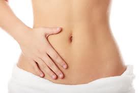 stomach