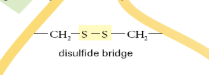 <p>The bond formed between 2 sulphurs of nearby cysteines</p>