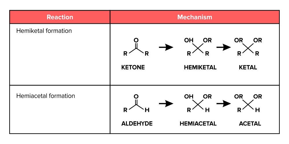 <ul><li><p>PAD - PEAD - mechanisme</p><ul><li><p>P = protonatie</p></li><li><p>E = eliminatie</p></li><li><p>A = additie</p></li><li><p>D = deprotonatie</p></li></ul><p>‎</p></li><li><p>opm; reacties kunnen ook omgekeerd worden uitgevoerd; we spreken dan over hydrolyse</p></li></ul><p></p>