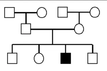 <ul><li><p>seen in a single generation (horizontal pattern)</p></li><li><p>parents and children of affected people are normally unaffected</p></li><li><p>males and females are equally affected and equally likely to transmit</p></li><li><p>parents of affected children must be carriers</p></li></ul><p></p>