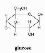 <p>What is glucose often referred to as? </p>