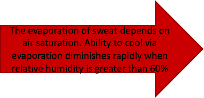<p><span>Radiation – energy is transferred to or from an object or body via electromagnetic radiation from higher to lower energy surfaces (we absorb radiant heat from the sun)</span></p><p style="text-align: left"></p><p style="text-align: left"><span>Conduction – heat transfers from warmer to cooler objects through direct physical contact (ice bags)</span></p><p style="text-align: left"></p><p style="text-align: left"><span>Convection – heat transfers to or from the body to surrounding moving fluid or air (moving air from a fan, wind, moving water)</span></p><p style="text-align: left"></p><p style="text-align: left"><span>Evaporation – heat transfers via the vaporization of sweat and is the most efficient means of heat loss</span></p><p></p>