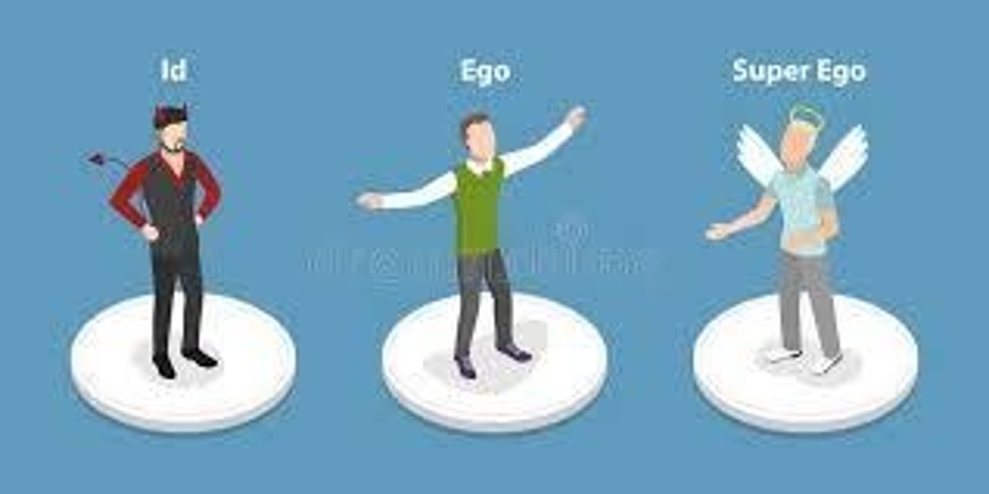 <p>Internalizes the wishes and morals of a child's caregivers and behavior of ego.</p>