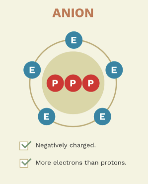 <p>give examples of anions</p>