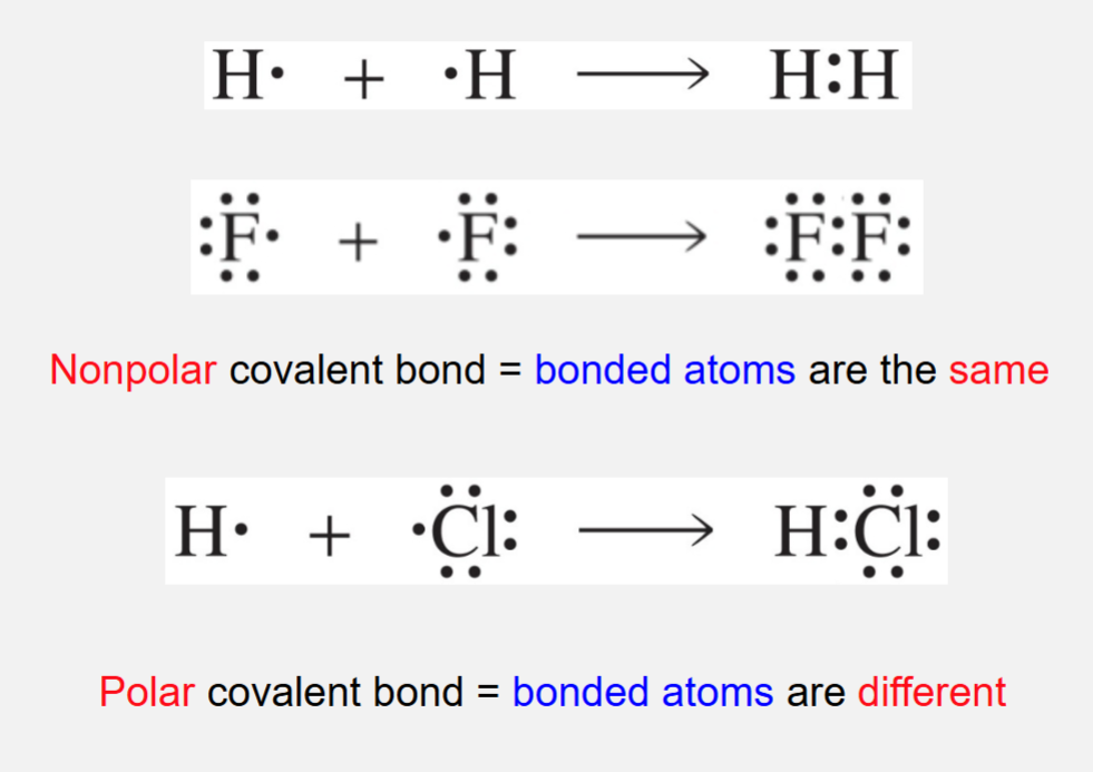 <p>Formed by sharing electrons</p><ul><li><p>Non polar covalent bond = bonded atoms are the same</p></li><li><p>Polar covalent bond = bonded atoms are different</p></li></ul><p></p>