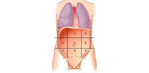<p>4</p>