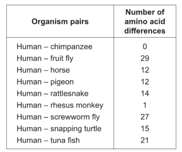 <p><span style="background-color: transparent;">The table shows the number of differences between humans and other selected organisms for the protein cytochrome c oxidase. This protein, consisting of 104 amino acids, is located in the mitochondria and functions as an enzyme during cell respiration.</span></p><p></p><p><span style="background-color: transparent;">If the data were used to draw a cladogram, which chordates would be furthest apart from humans?</span></p>