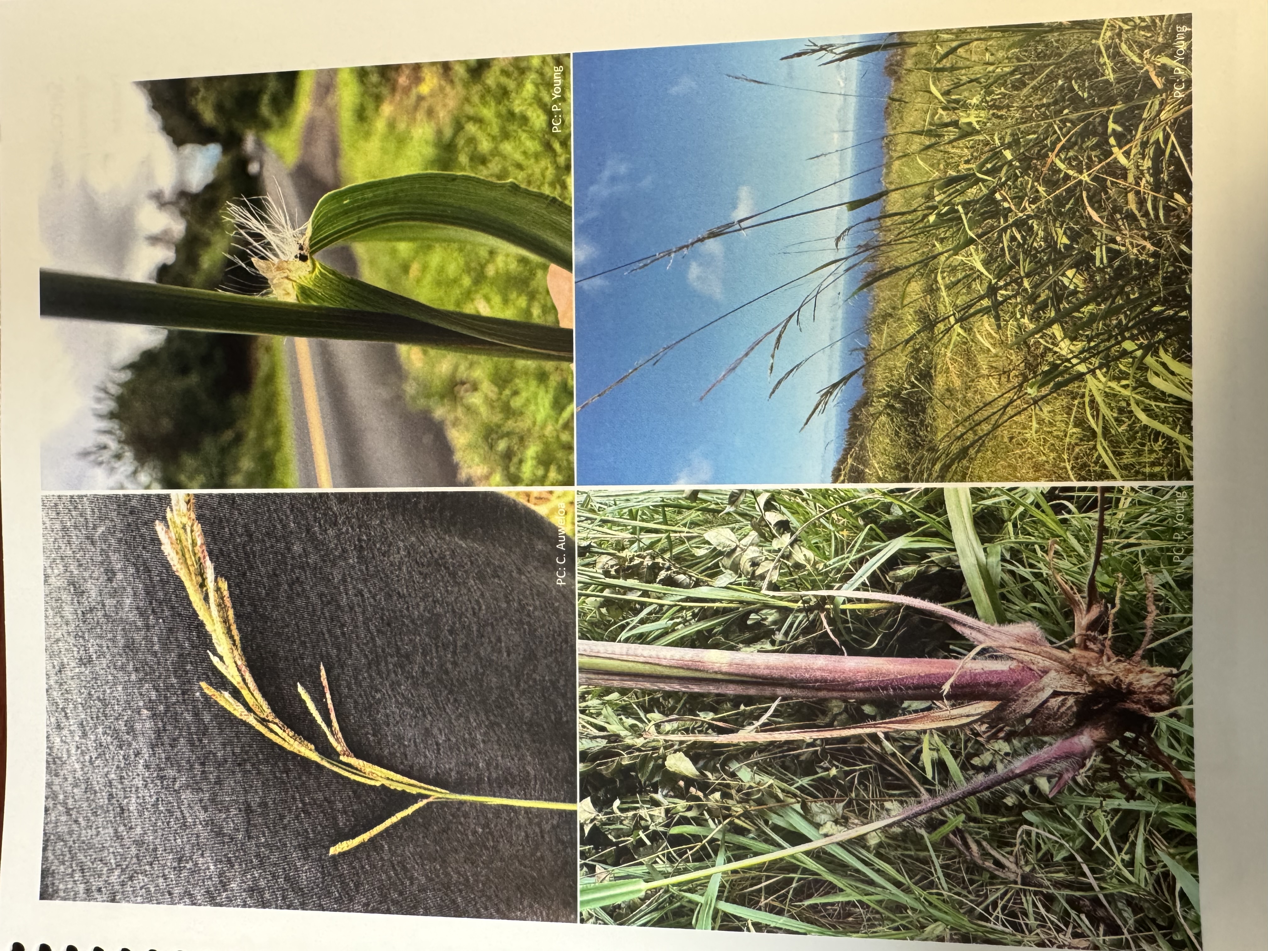 <img src="blob:null/ac700646-126d-4c11-90cf-c9f56b159e8b"><p></p>