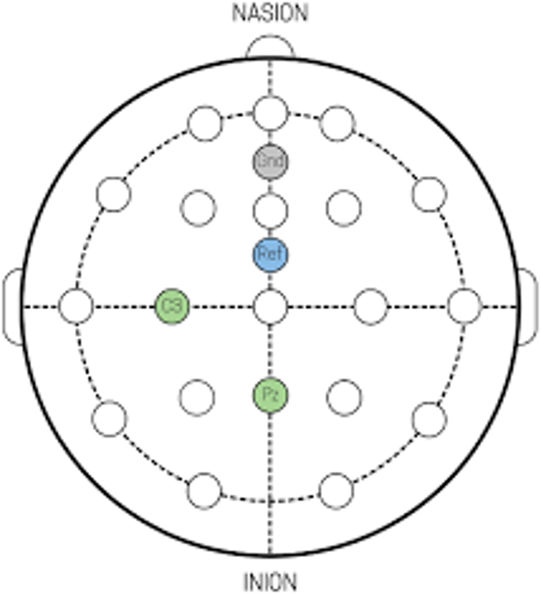 <p>F4</p>