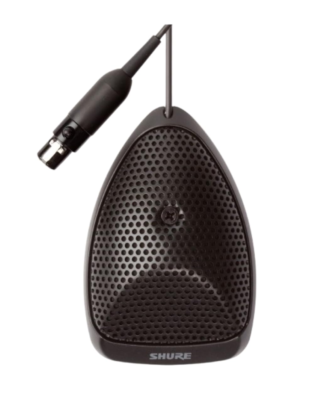 <p>What kind of microphone is this?</p>