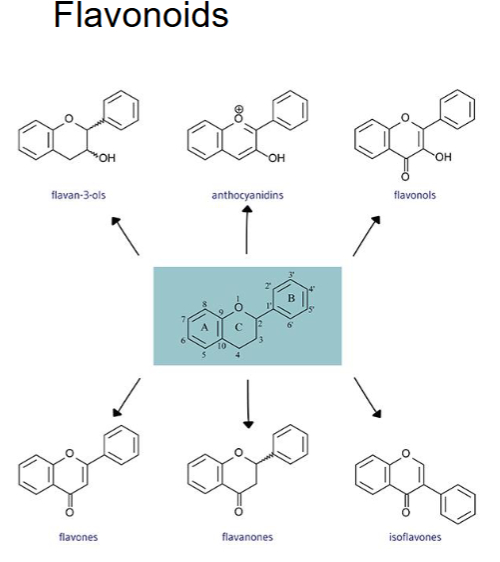 <p><strong>FLAVONOIDS </strong>occur as plant pigments, often <em>yellow or orange</em></p><p>Likely main role in nature is as color attractants to insects and birds, or to affect the taste of plants </p><p>Their basic chemical structure is ___________ connected by _____ link</p><p>C6 - C3 - C6</p>