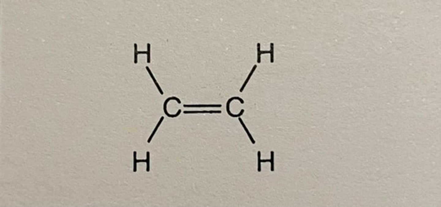 <p>Ethen (C2H4)</p>