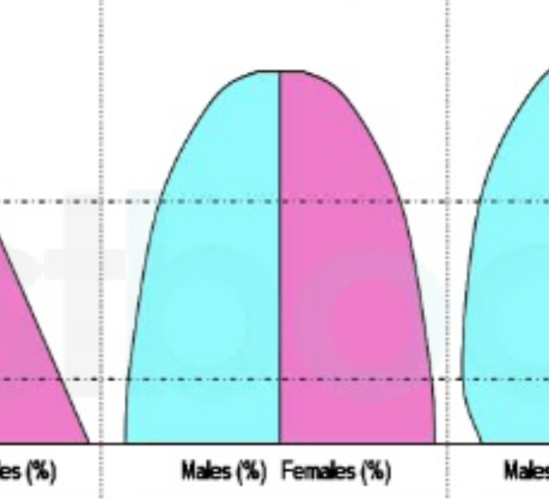 <p>Low and variable </p><ul><li><p>birth and death rates low and variable </p></li><li><p>Population growth fluctuates </p></li></ul>