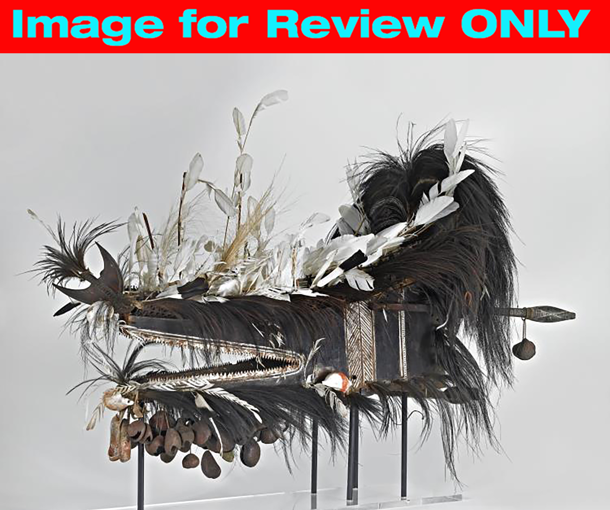 <p><span>In the work shown, textural accents such as coconut fiber, feathers, and seashells are attached to the mask’s base in such a way as to</span></p><p><strong>A </strong>foster the mask’s impermanence</p><p><strong>B </strong>enhance the strength of the turtle-shell base</p><p><strong>C </strong>ensure the mask’s longevity</p><p><strong>D </strong>facilitate the movement of the accent materials</p>
