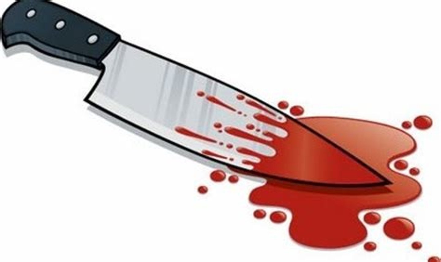 <p>to kill</p>