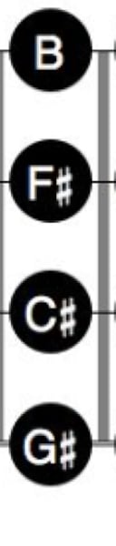<p>G# C# F# B</p>
