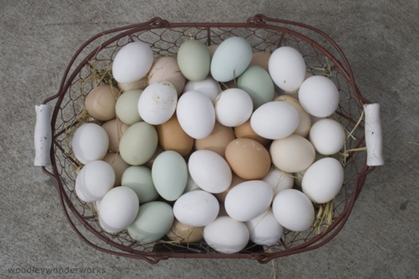 <p>jī dàn</p><p>[n] hen's egg</p>