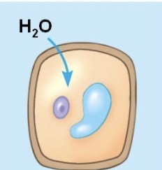 <p>What is this?</p>