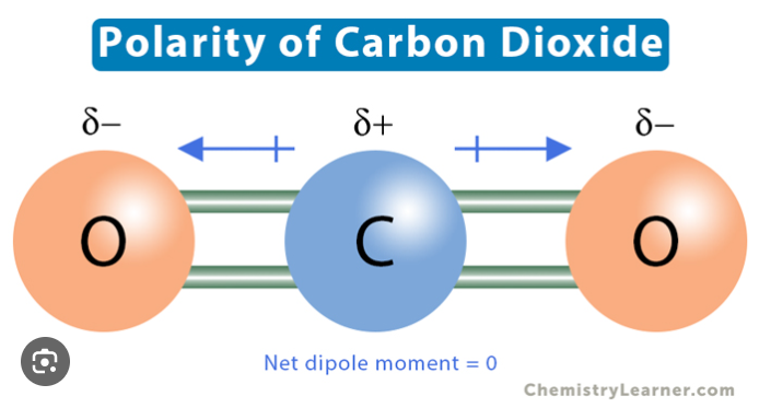 <p>nonpolar because although indiv. O-C bonds r polar, there is a symmetrical shape</p>