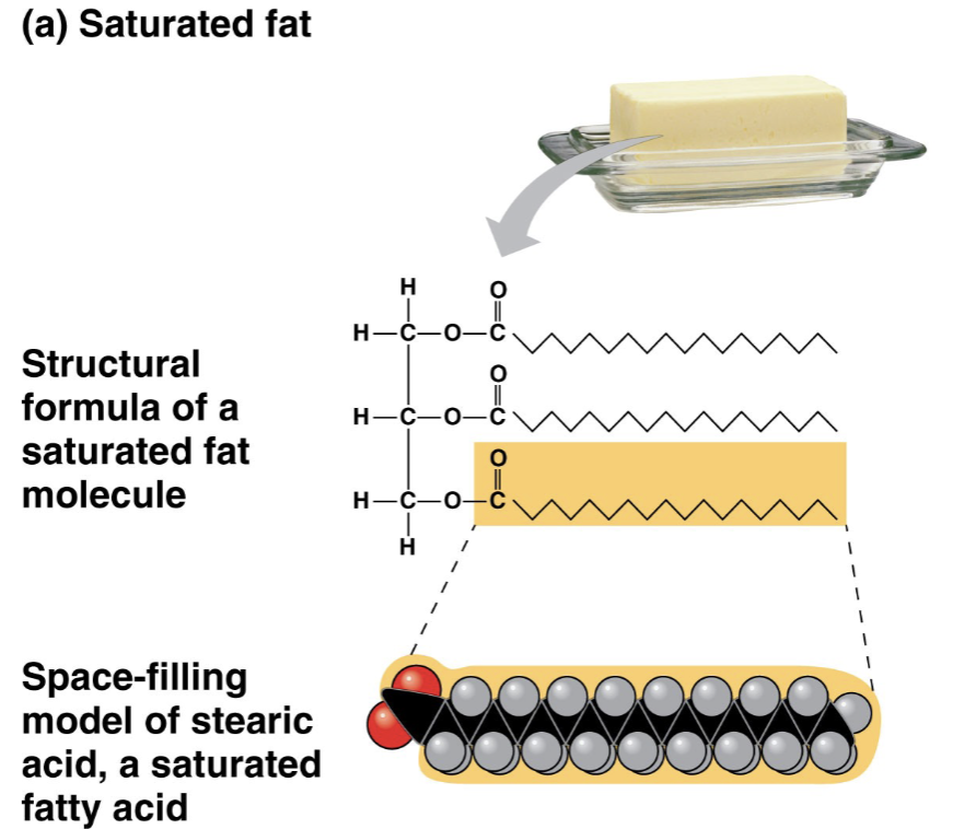 <ul><li><p>if all carbons have as many hydrogens covalently bonded as it possibly can have</p></li></ul>