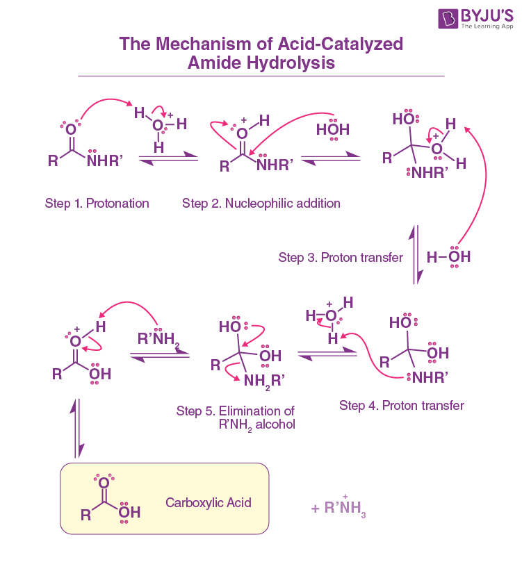 <p>Reactants/Reagents: Strong Acid (cat.), Heat, H2O</p><p>Product: Cboxa + Prot. Amine</p>