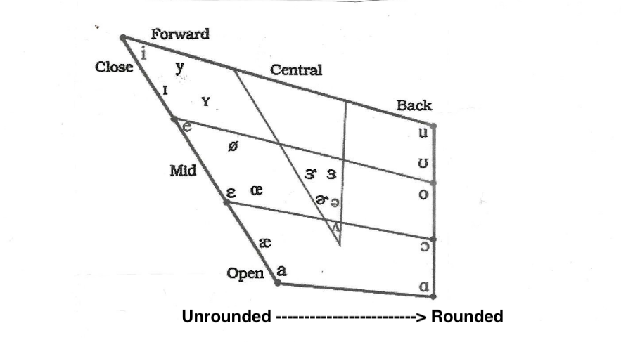 <ul><li><p>a graphic which represents the positioning of the tongue for various vowels used in speech</p></li><li><p>developed by Daneil Jones in the early 20th century</p></li></ul><p></p>