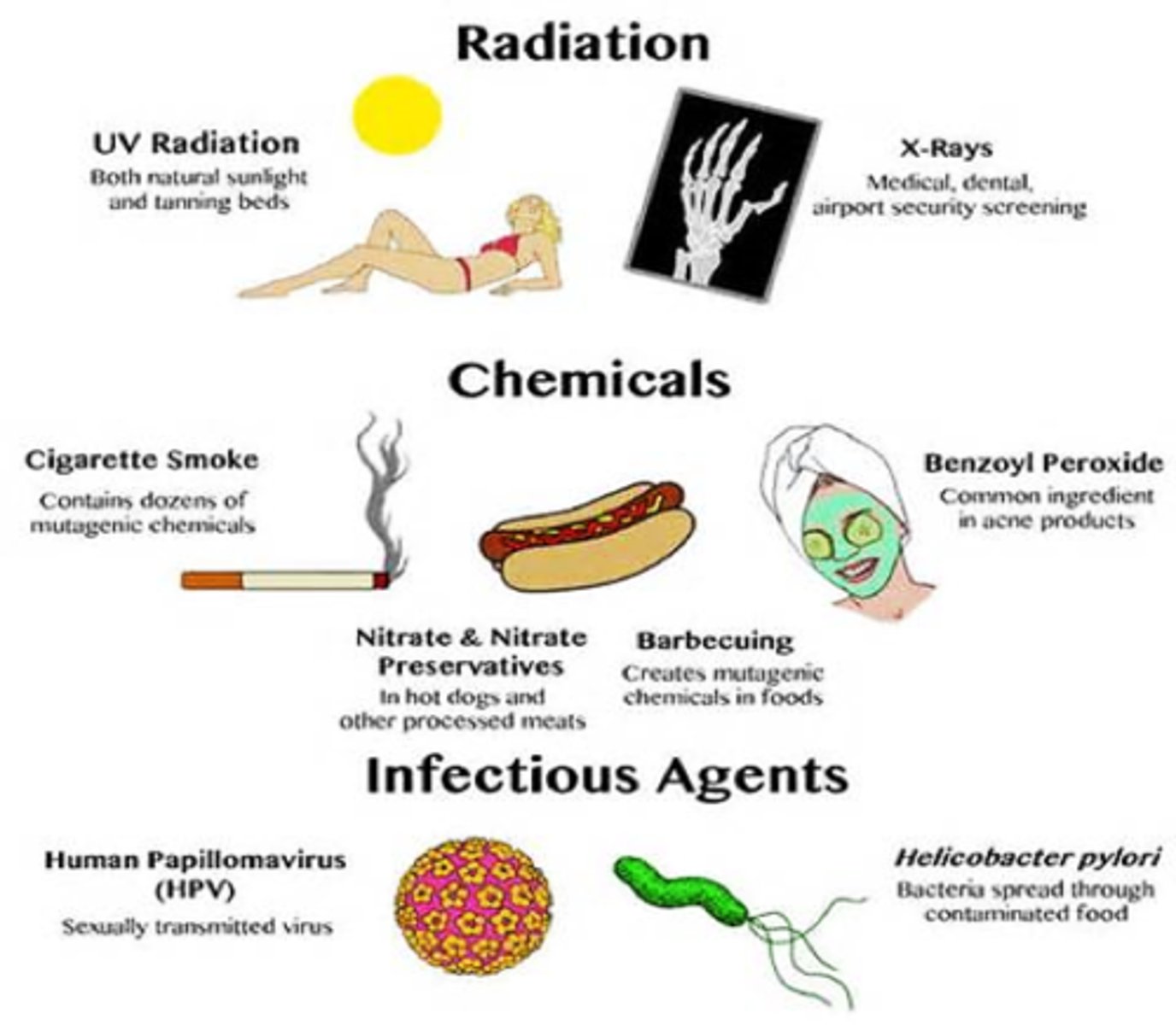 <p>damage to DNA and chromosomes caused by environmental factors</p>