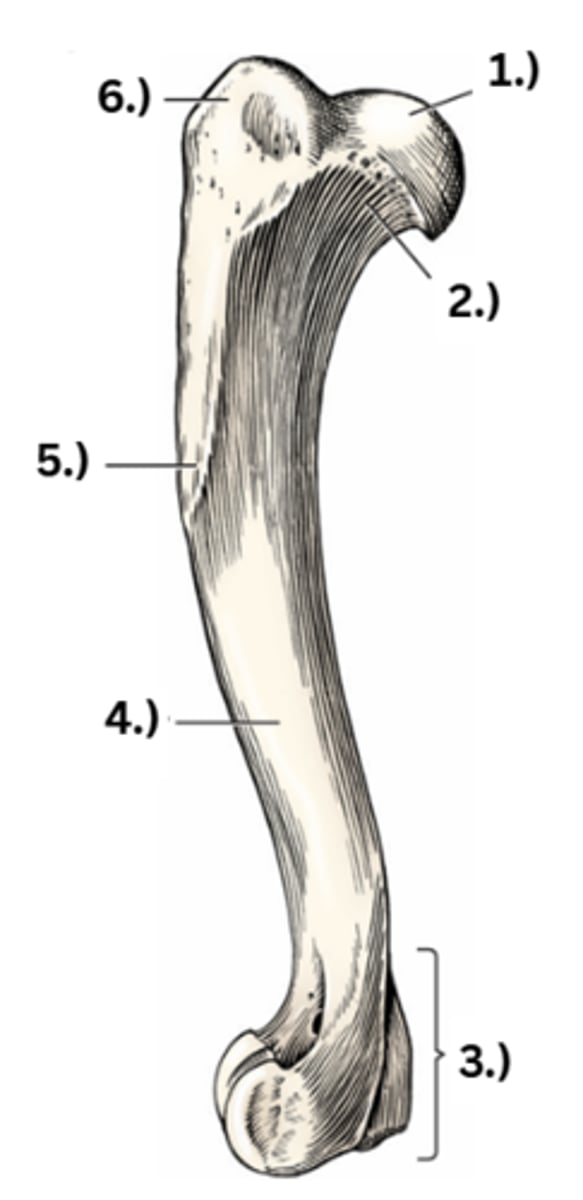 <p>2</p>